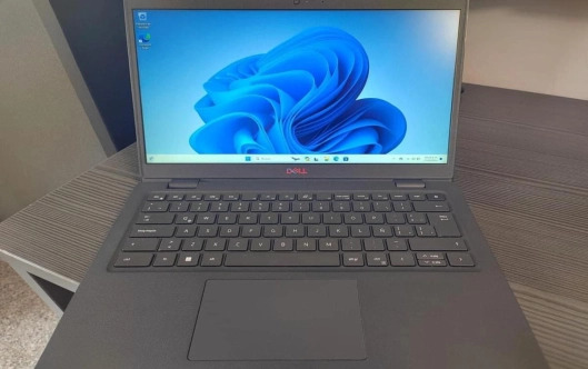 DELL LATITUDE 3420